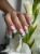 50933763144787.webp