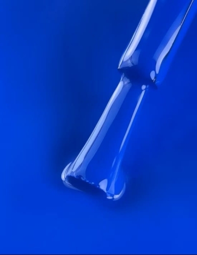 gp-31.1-550x711.jpeg