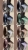 IMG_0303.jpeg