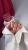 file_2_2.jpg