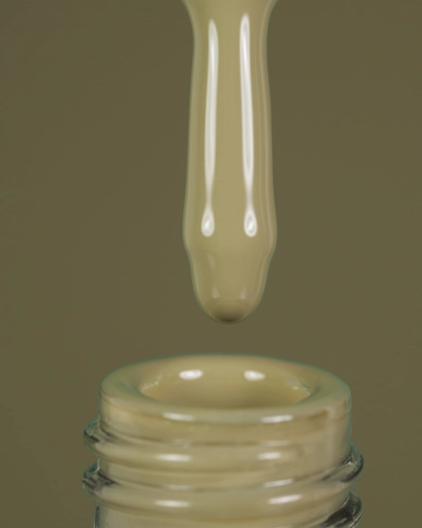 97.jpg