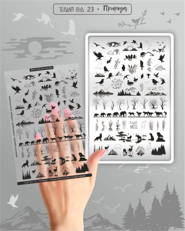 23-1-600x750 (1).png