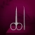 920869_543ff651947242ea9f6008e12ae019e8_mv2.webp