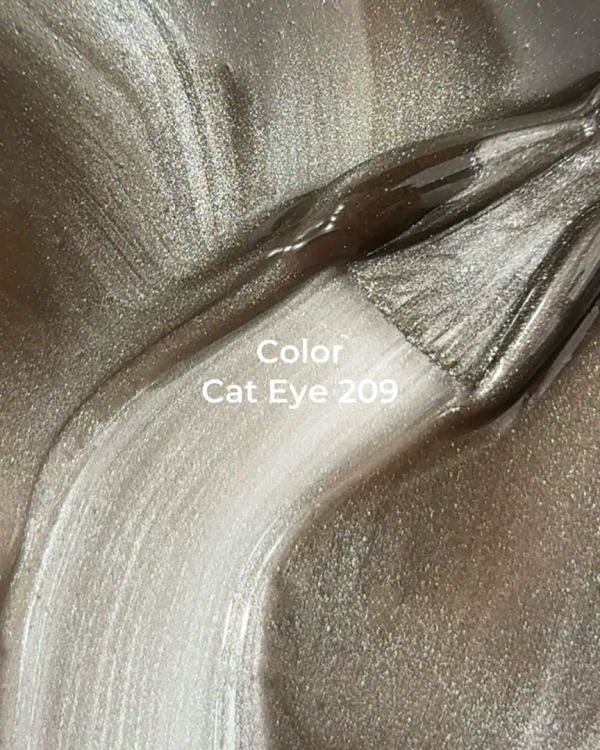 img_1281.png.webp